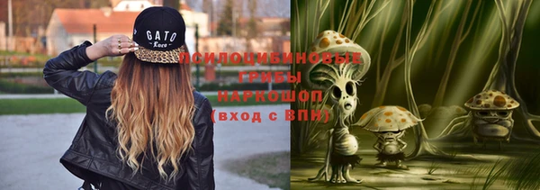 круглые Аркадак