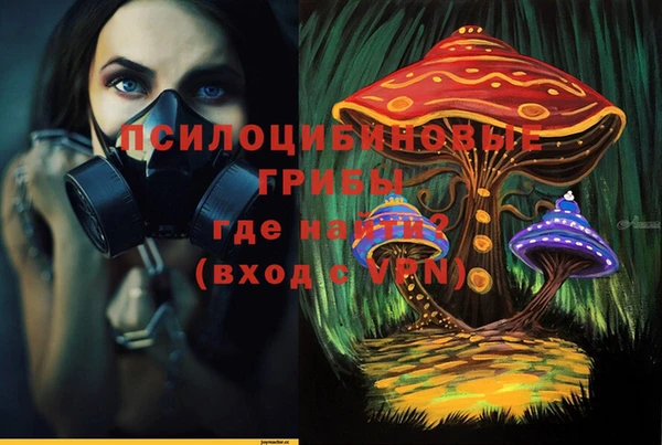 круглые Аркадак
