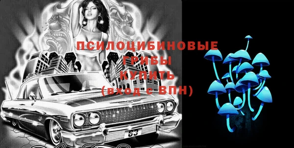 спайс Арсеньев